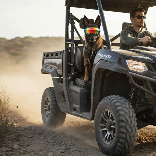 Shatterproof Goggles