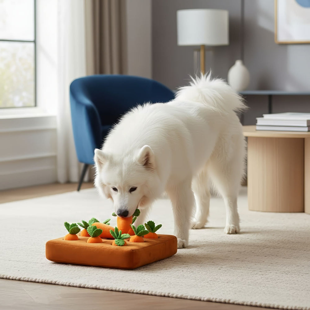 Carrot Snuffle Mat
