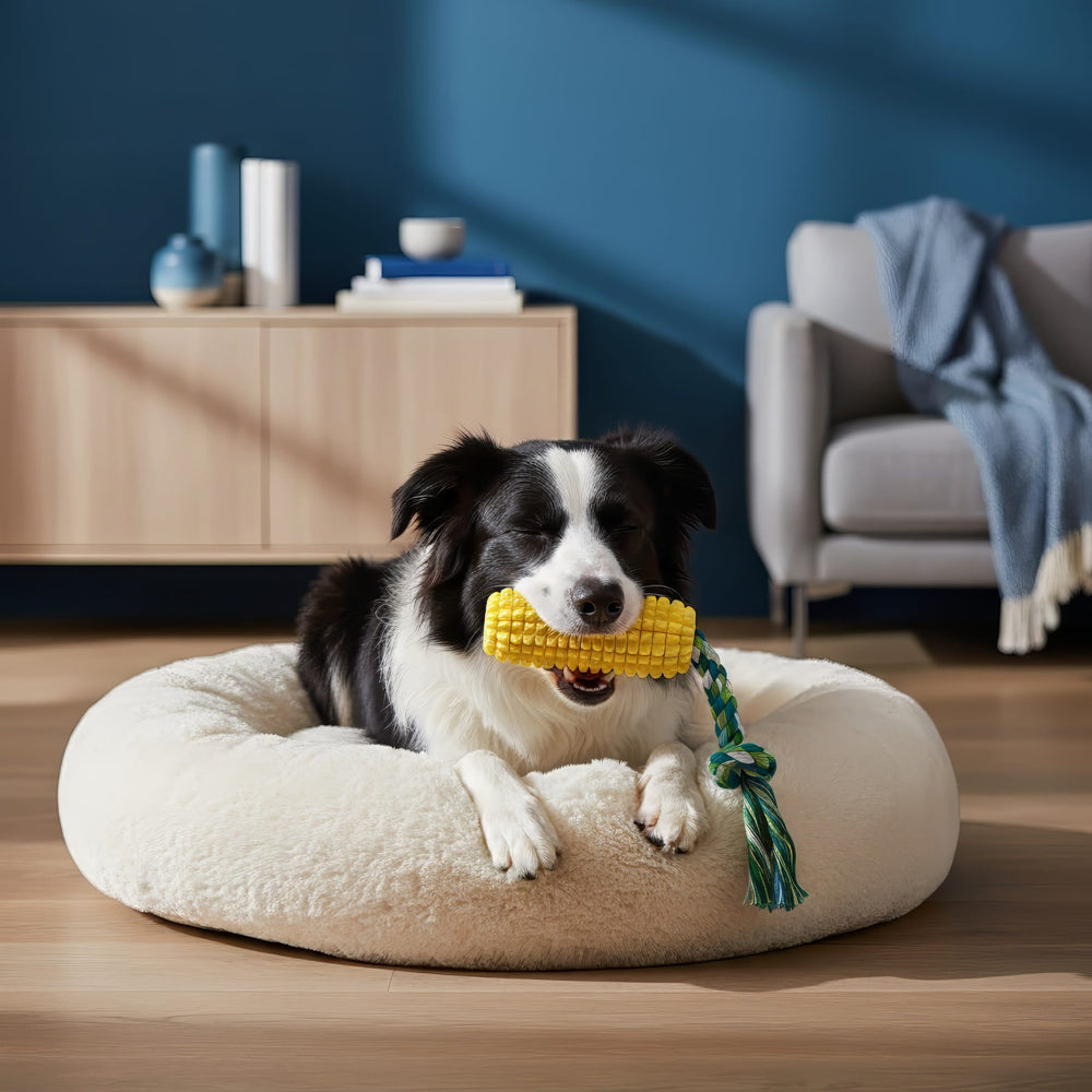 Corn Dental Chew Toy