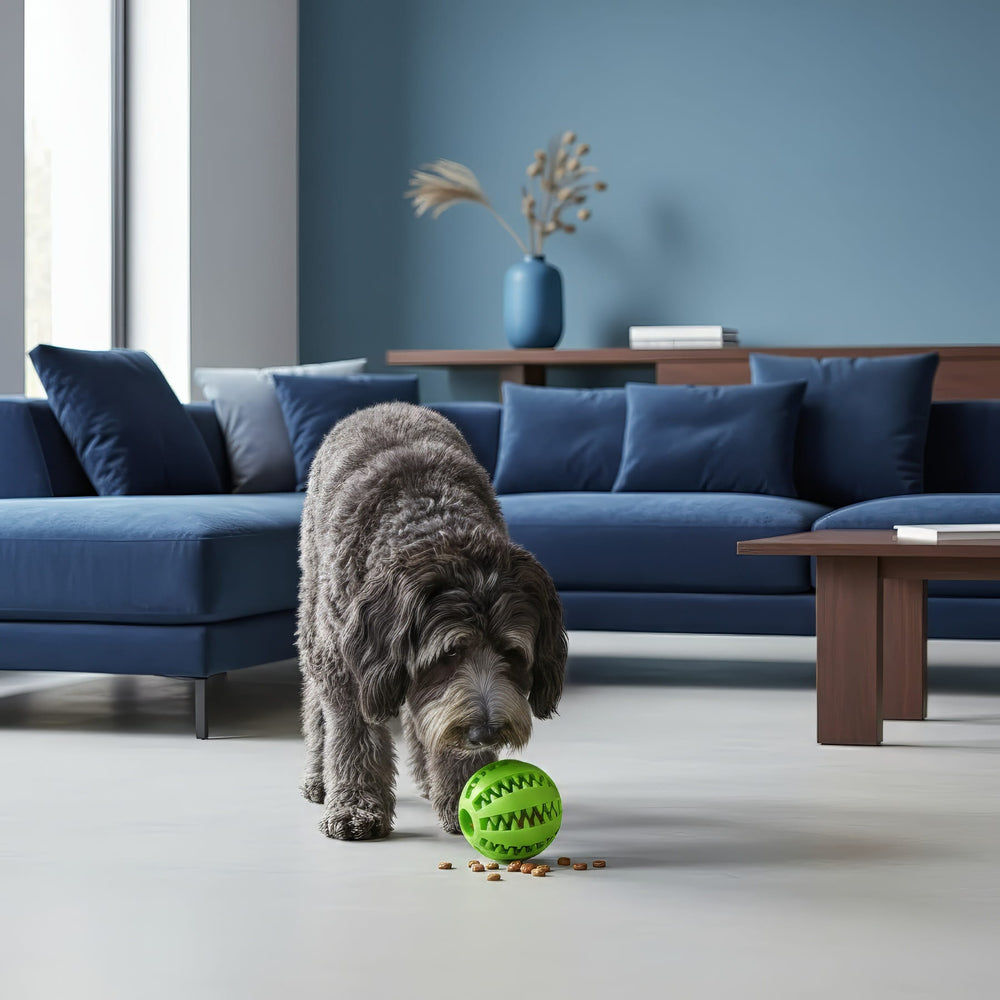 Interactive Treat Ball