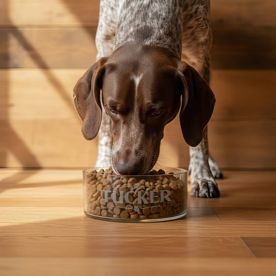 Viren Personalized Bowl
