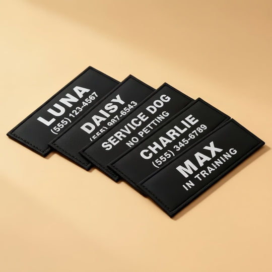 Custom Patches (Set of Two)