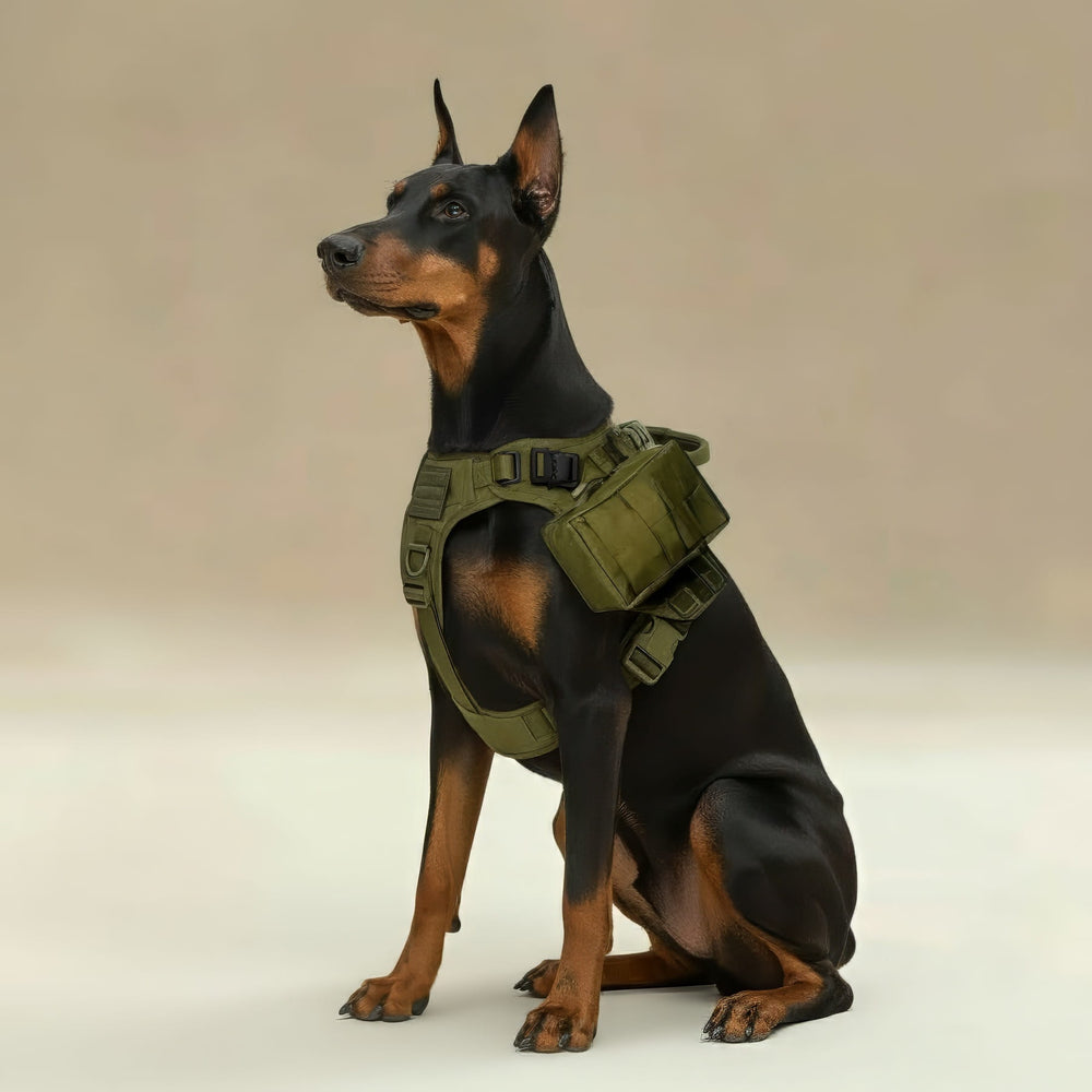 RECON