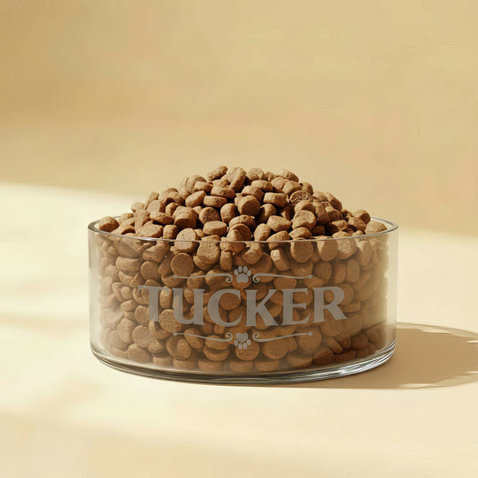 Viren Personalized Bowl