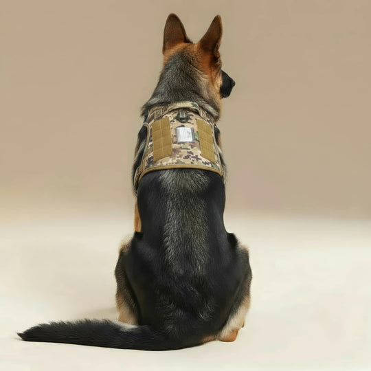 #finish_digital-camo