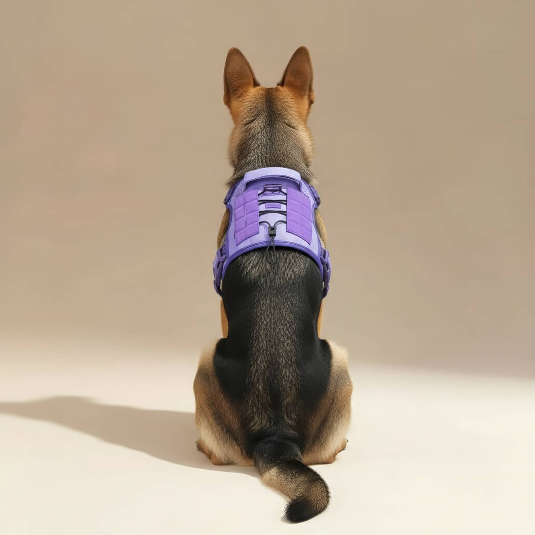 #finish_light-purple