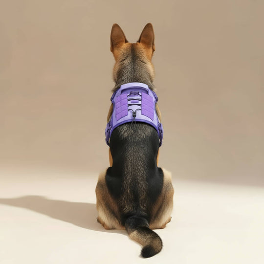 #finish_light-purple