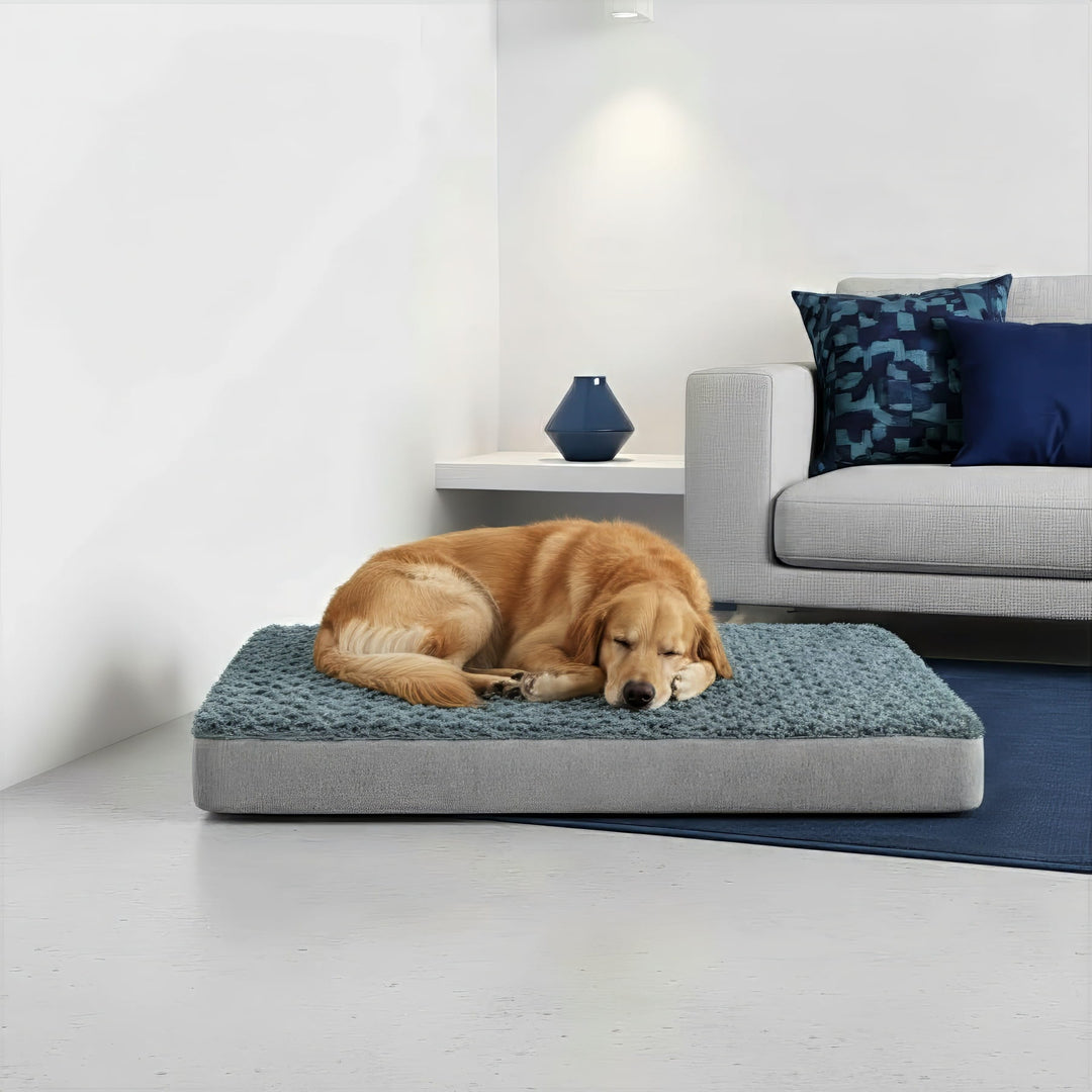 The Orthopedic Memory Foam Bed