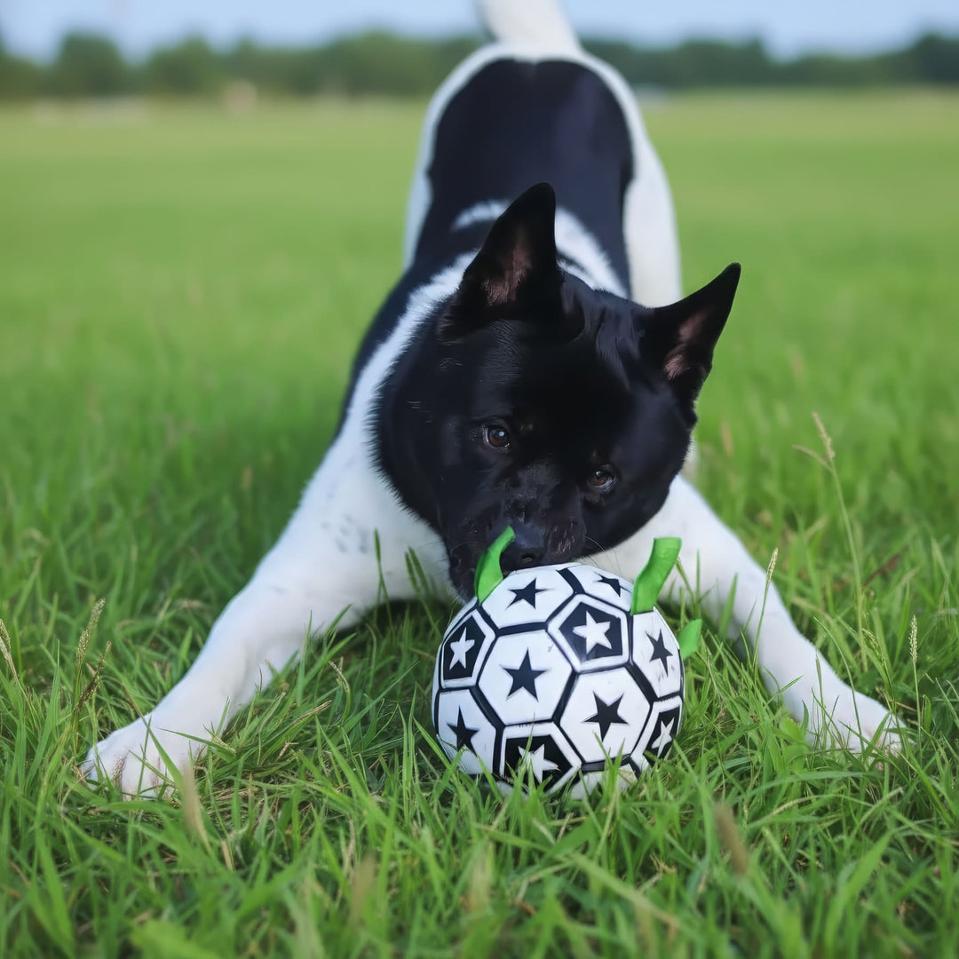 Interactive Soccer Ball