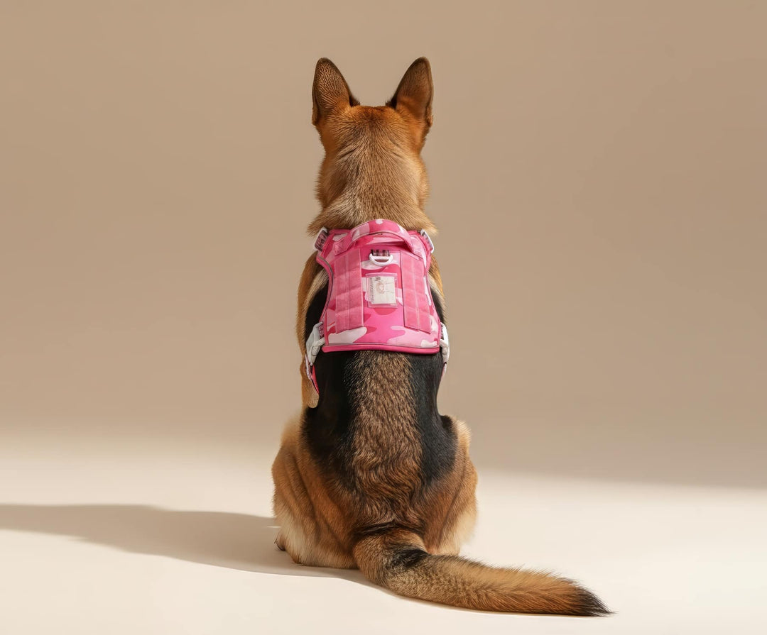 #finish_hot-pink-camo