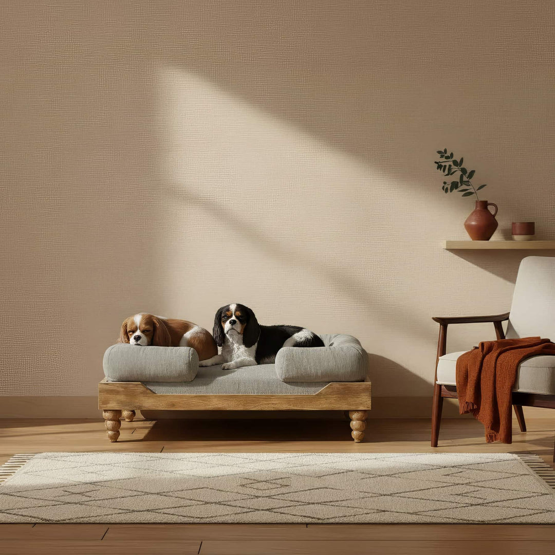 Elion Elevated Bed