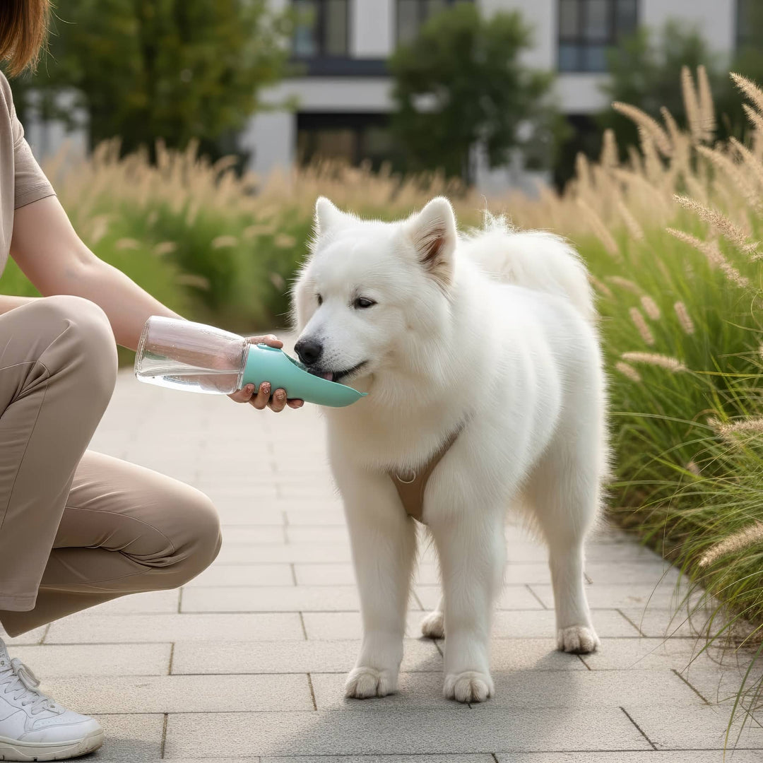 Portable Water Bottle