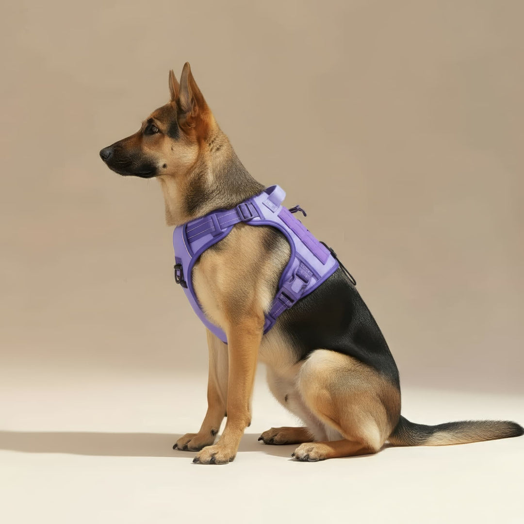 #finish_light-purple