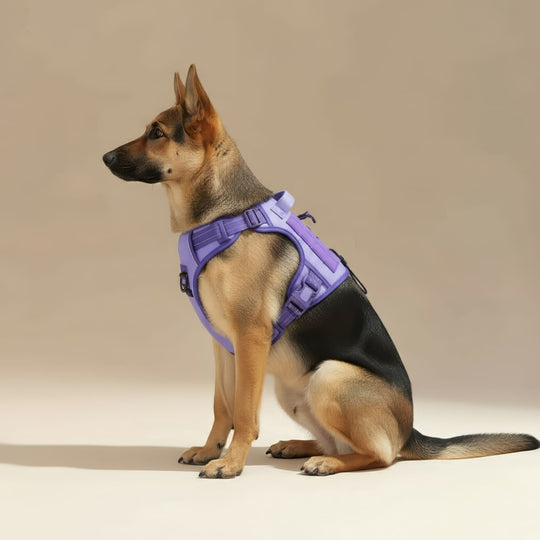 #finish_light-purple