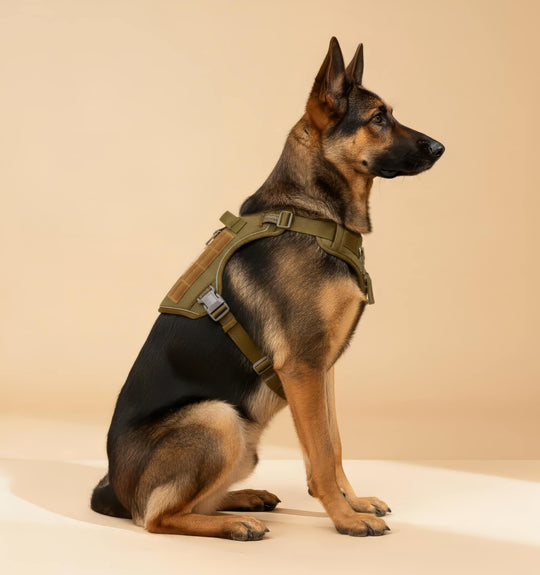 #finish_forest-green