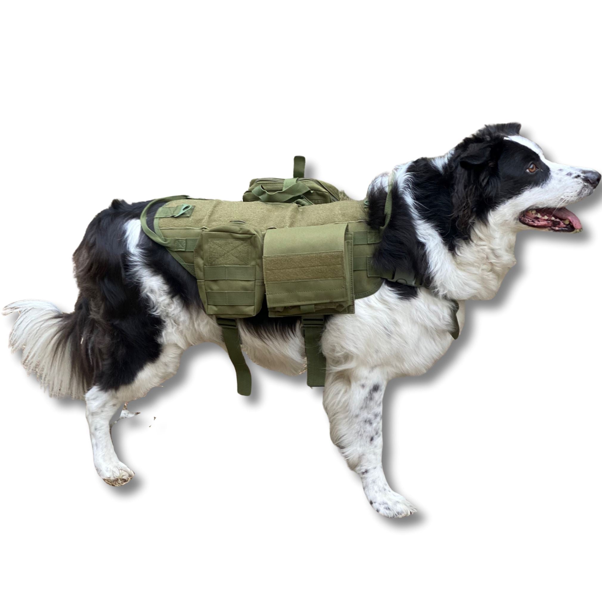 Dog harness for outlet hiking