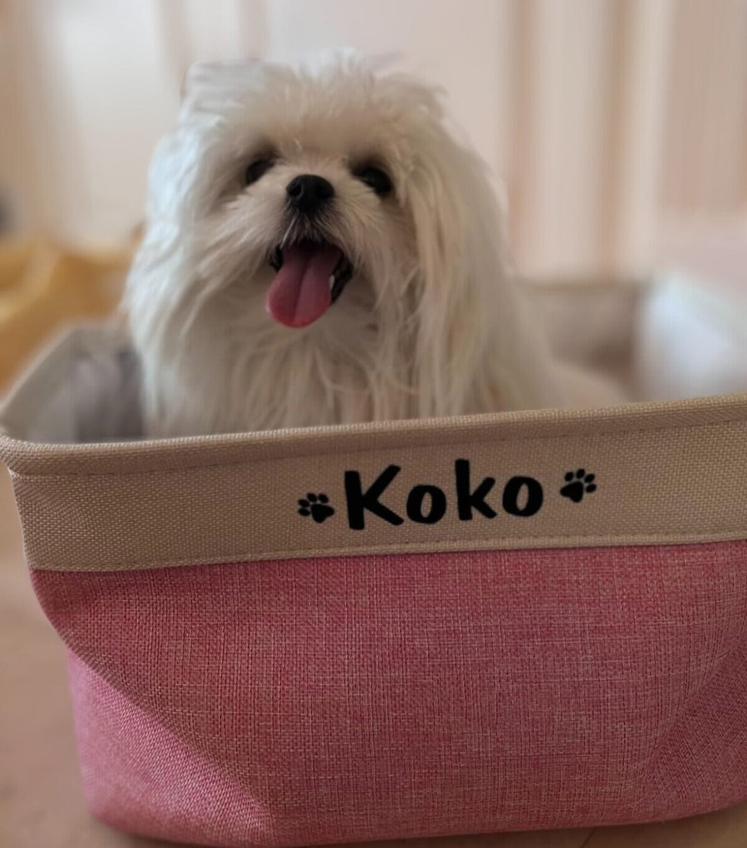 Dog Toy Box Personalized With Paw Hole, Dog Toy Storage, Dog Crate  Furniture Toy Bin Dog Mom Gift Puppy Toys Box 