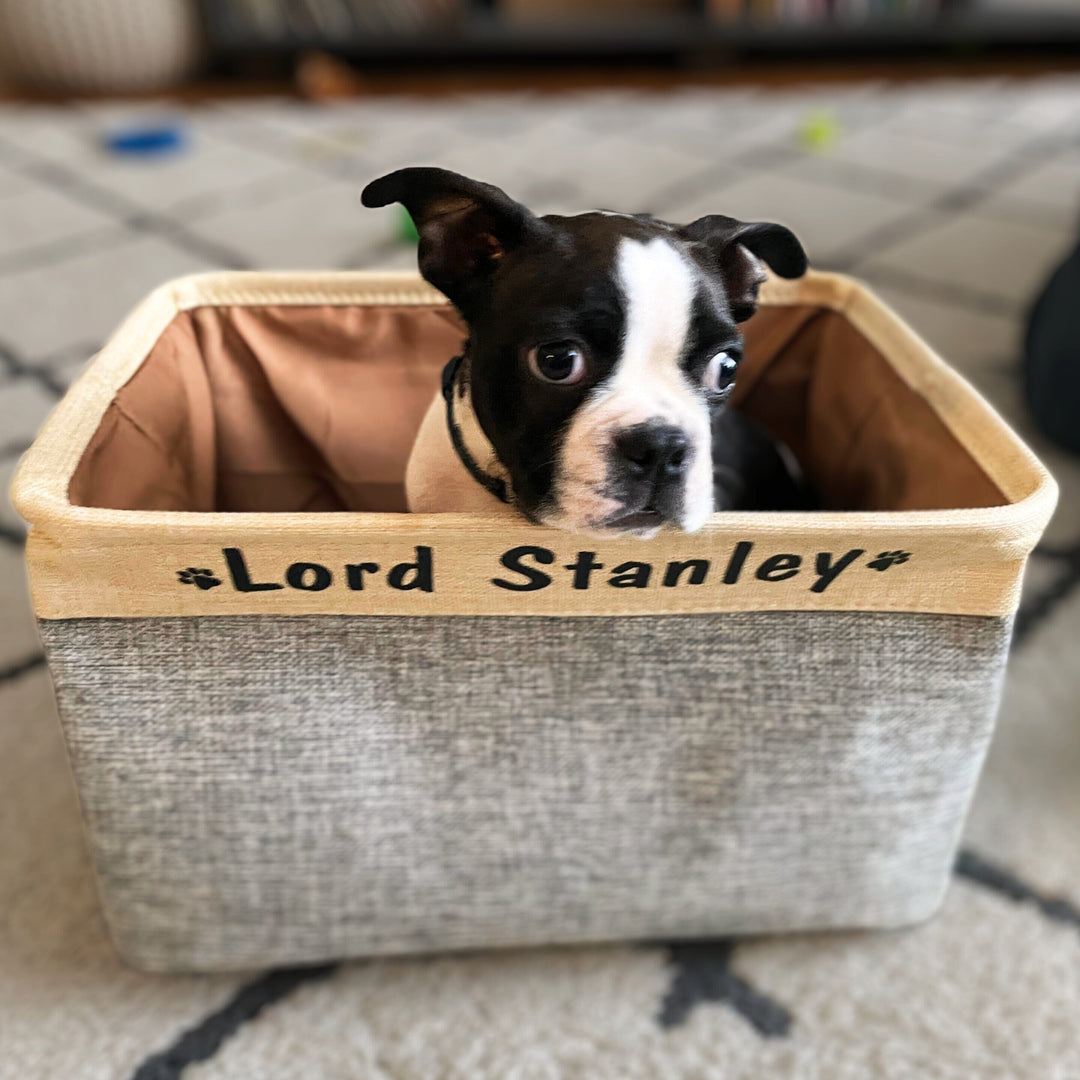 Personalized Dog Toy Box, Dog Toy Basket Storage with Cotton Handle,  Customized Name and Paw Heart Print Puppy Toy Bin for Organizing Food  Clothes and