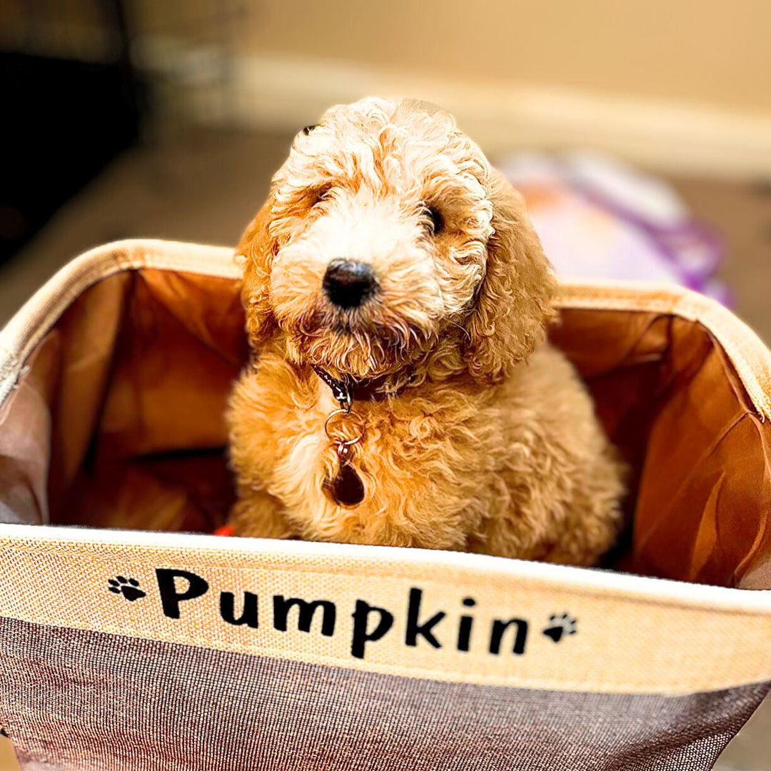 Personalized Pet Dog Toy Basket Storage Box Cute Paw Print