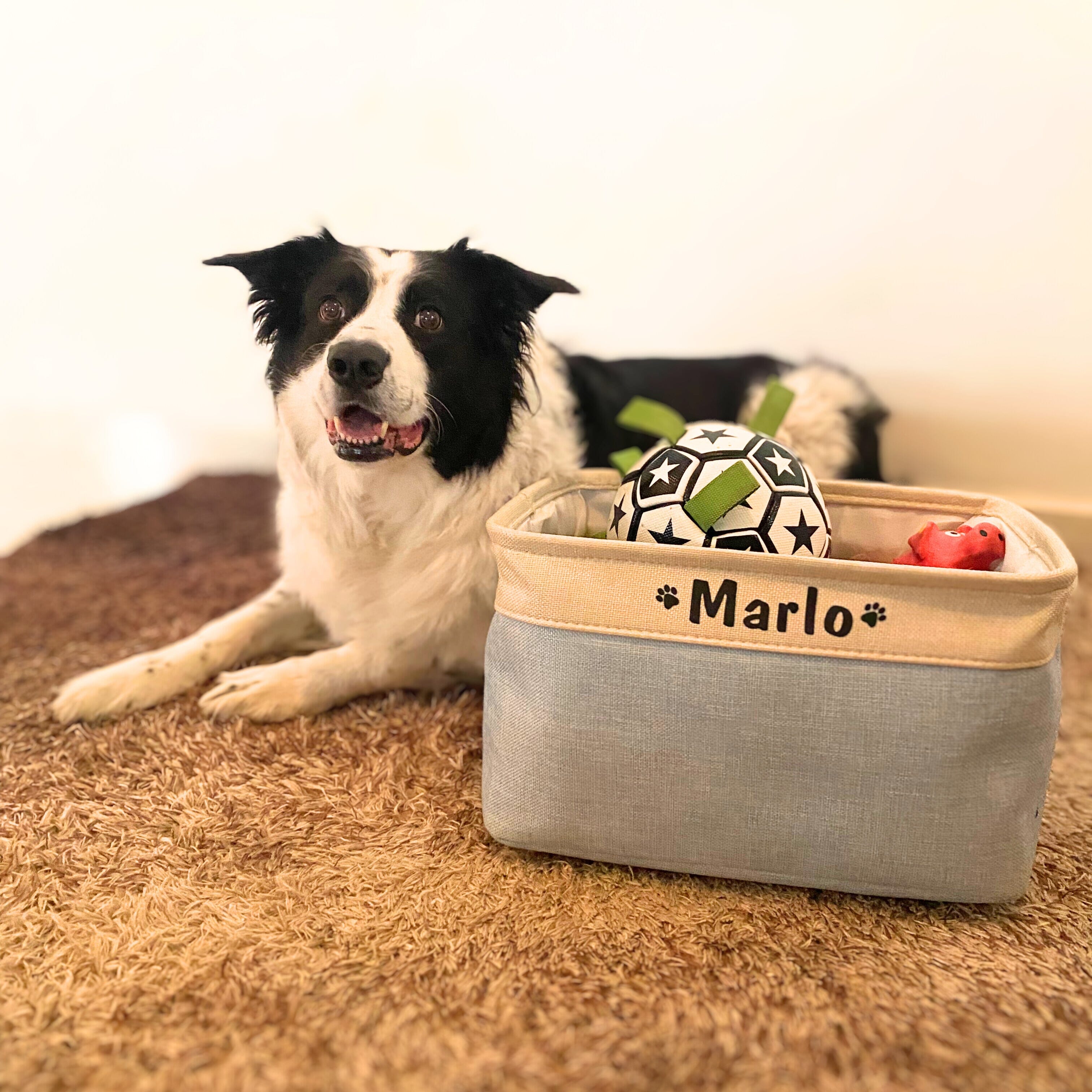 Personalized dog shop toy basket