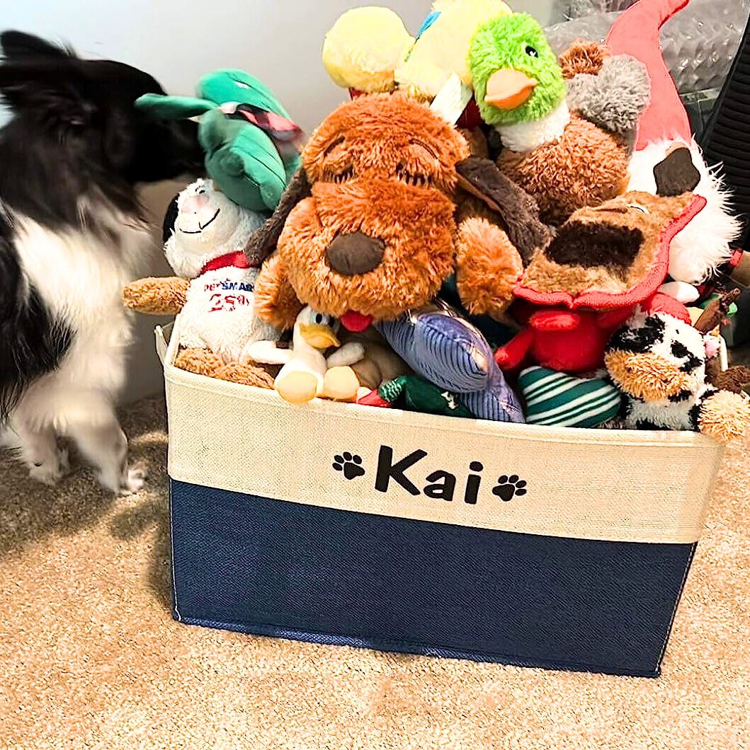 Personalized Dog Toy Box -   Dog toy box, Personalized dog