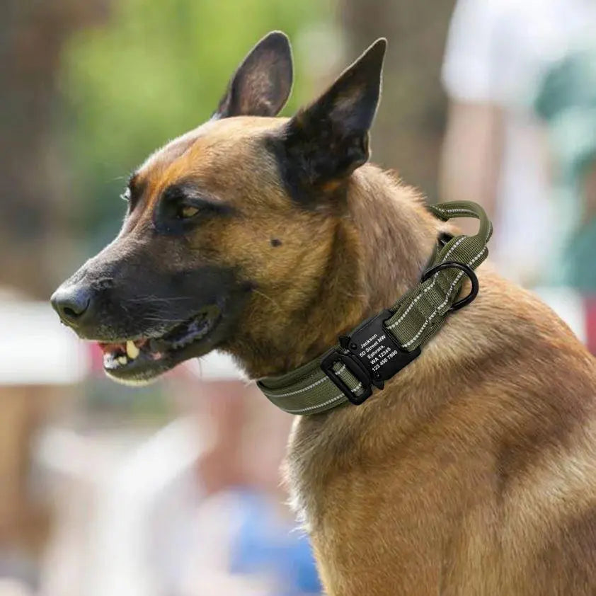 Personalized Tactical Dog Collar With Quick Control Handle And