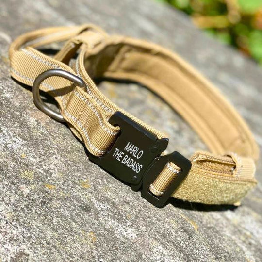 Personalized Tactical Collar With Control Handle And Cobra Buckles 0 BonaceBoutique 