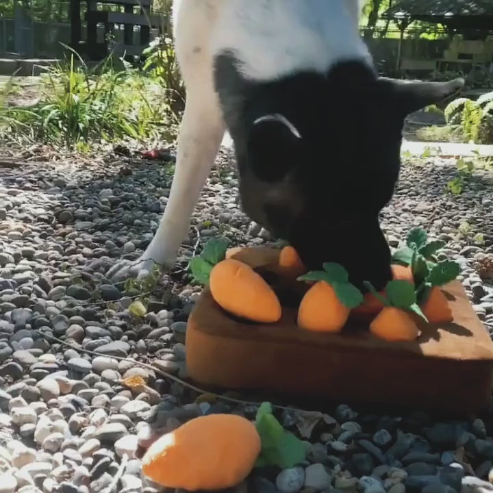 Carrot Snuffle Mat