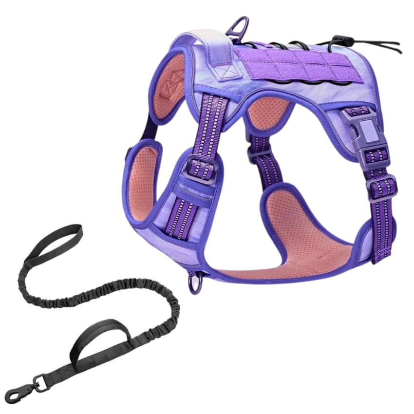 COMMANDER™ No-Pull Harness