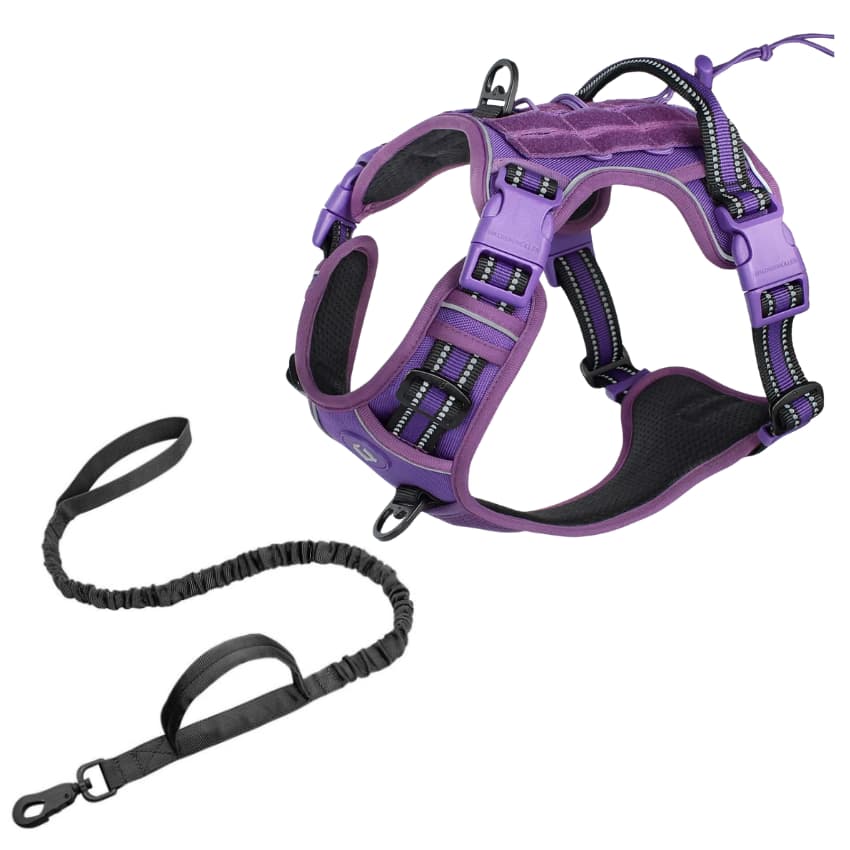 PATHFINDER™ No-Pull Harness