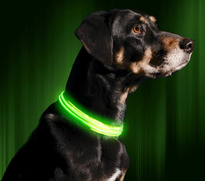 Reflective LED Collar 0 BonaceBoutique 