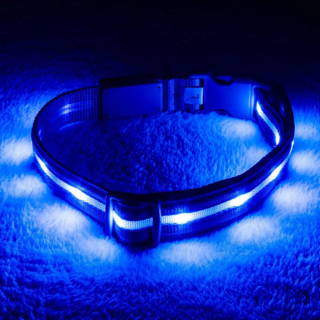 Reflective LED Collar 0 BonaceBoutique Deep Sky Blue S 