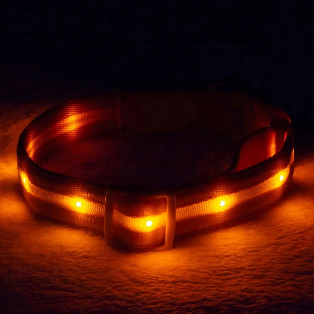 Reflective LED Collar 0 BonaceBoutique Orange S 