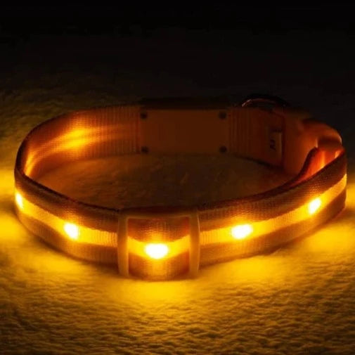 Reflective LED Collar 0 BonaceBoutique Yellow S 