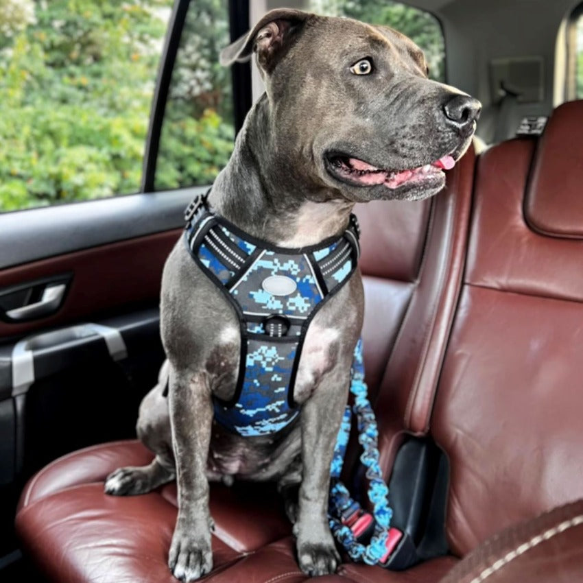 No pull discount reflective dog harness