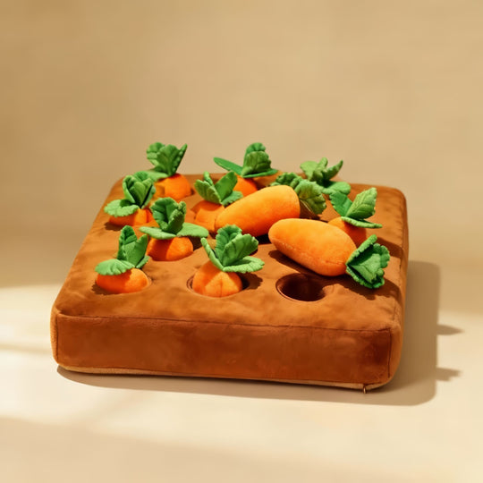 Carrot Snuffle Mat