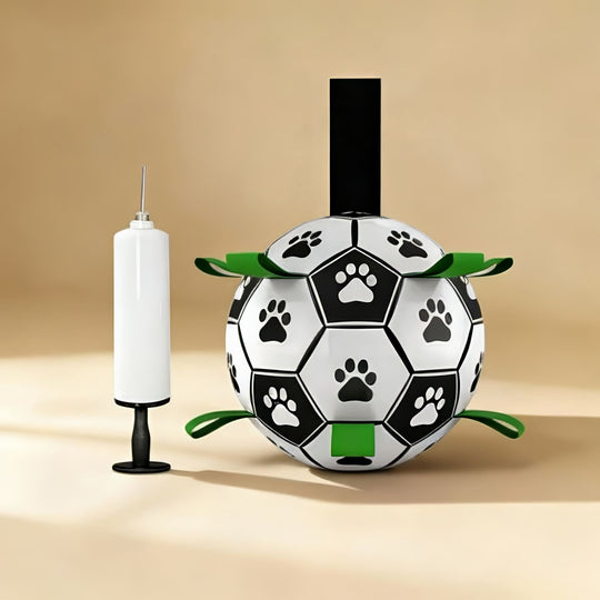 Interactive Soccer Ball