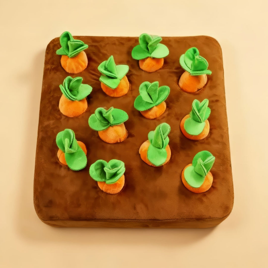 Carrot Snuffle Mat