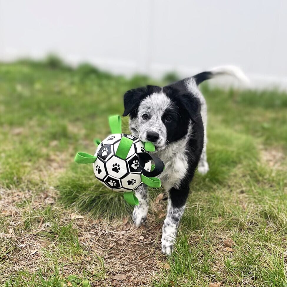 Soccer Ball With Grab Tabs 0 BonaceBoutique 