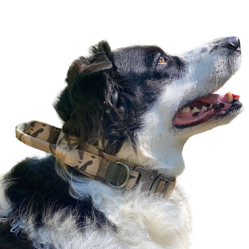 Custom Personalized Tactical Dog Collar Manufacturers and Suppliers - Free  Sample in Stock - Dyneema