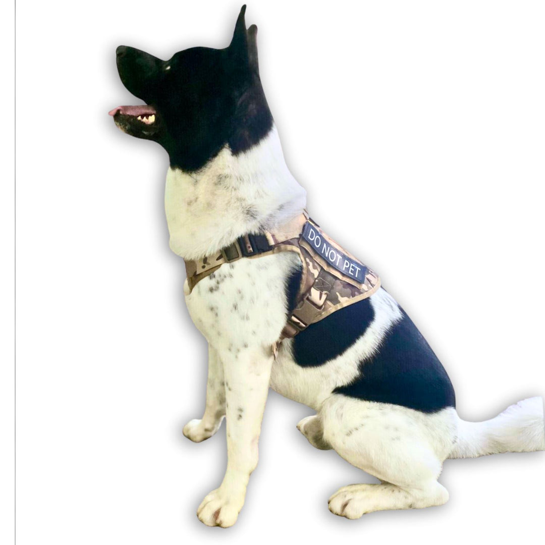 Tactical Dog Harness – Tacticpaw