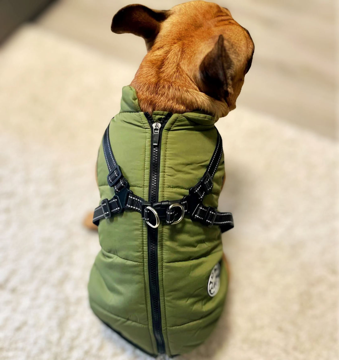 WaterProof Fleece Winter Coat One Paw Dog Company 