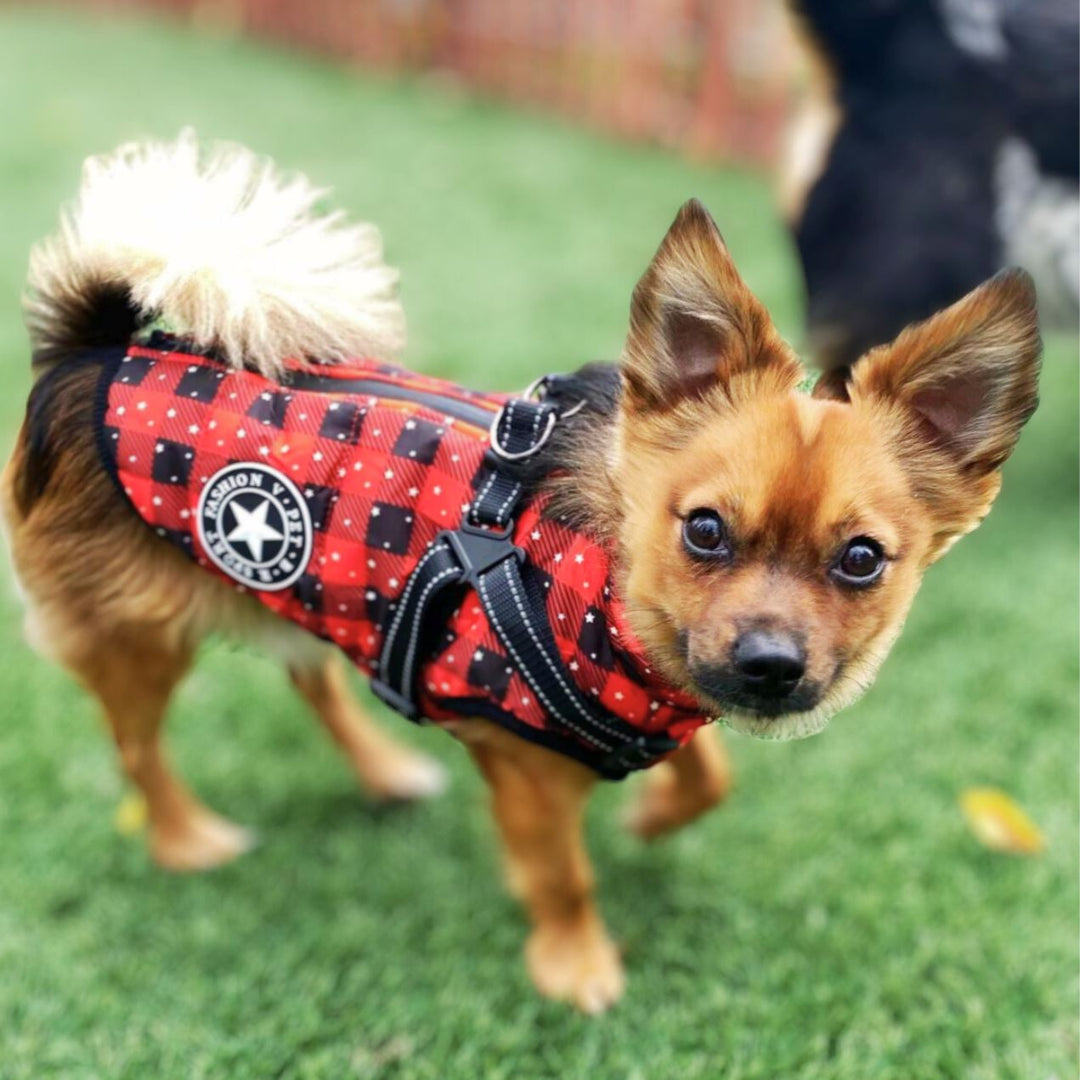 WaterProof Fleece Winter Coat One Paw Dog Company 