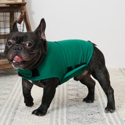 Anti-Anxiety Dog Calming Thunder Jacket 0 BonaceBoutique 