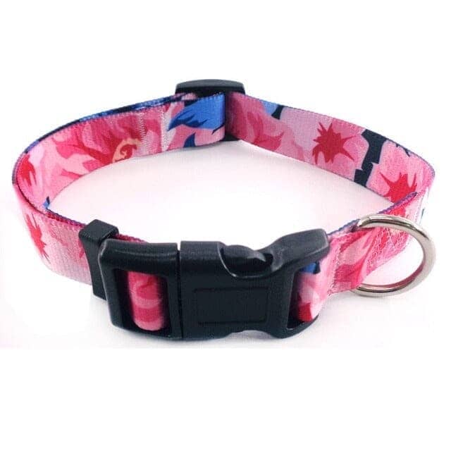 Boho Style Fashion Dog Collars 0 BonaceBoutique 