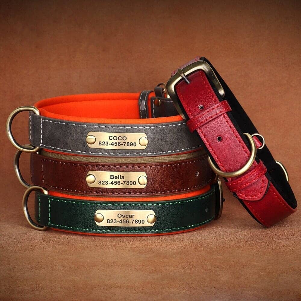 Customized Engraved Vegan Dog Collar 0 BonaceBoutique 