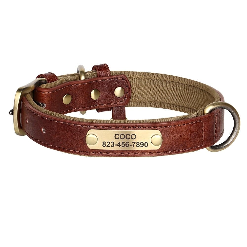 Customized Engraved Vegan Dog Collar 0 BonaceBoutique Brown XS 