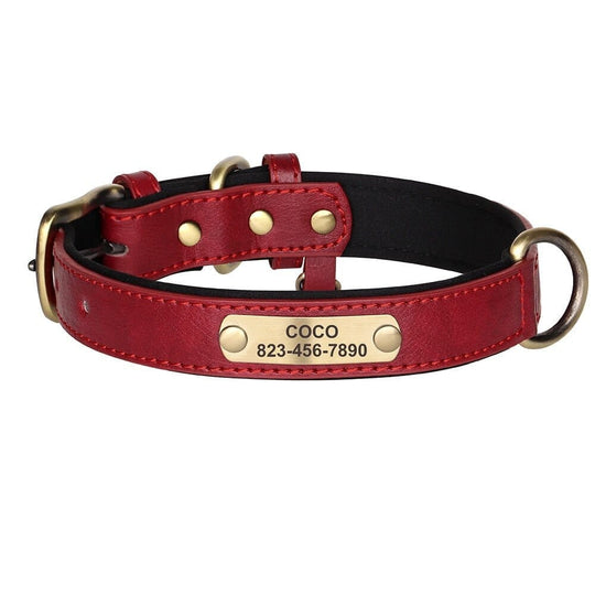 Customized Engraved Vegan Dog Collar 0 BonaceBoutique Dark Red XS 