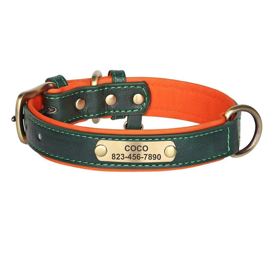 Customized Engraved Vegan Dog Collar 0 BonaceBoutique Forest Green XS 