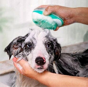 Dog Spa Shower Brush 0 BonaceBoutique 